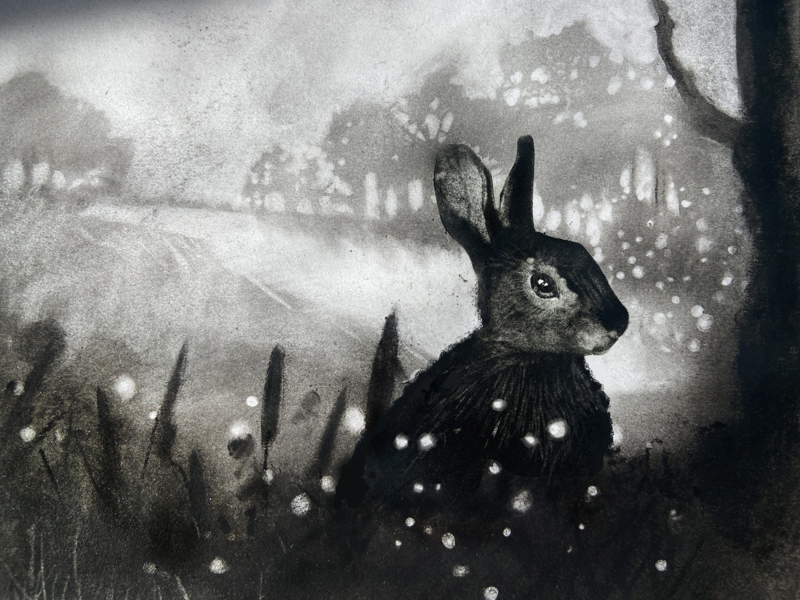 Pencil illustration by Anna Trueman from BunBun-Blossom Adventures