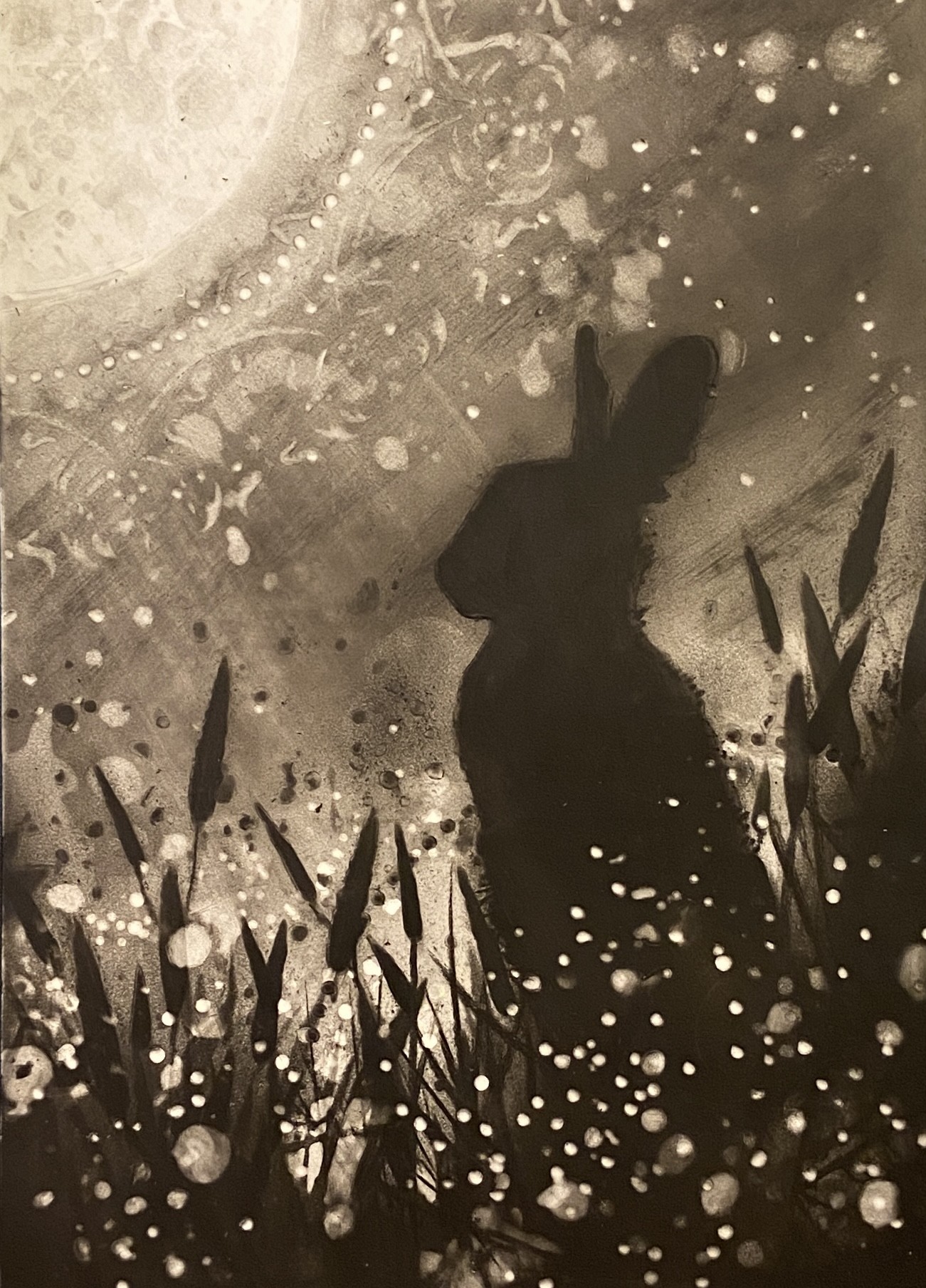 Pencil illustration by Anna Trueman from BunBun-Blossom Adventures