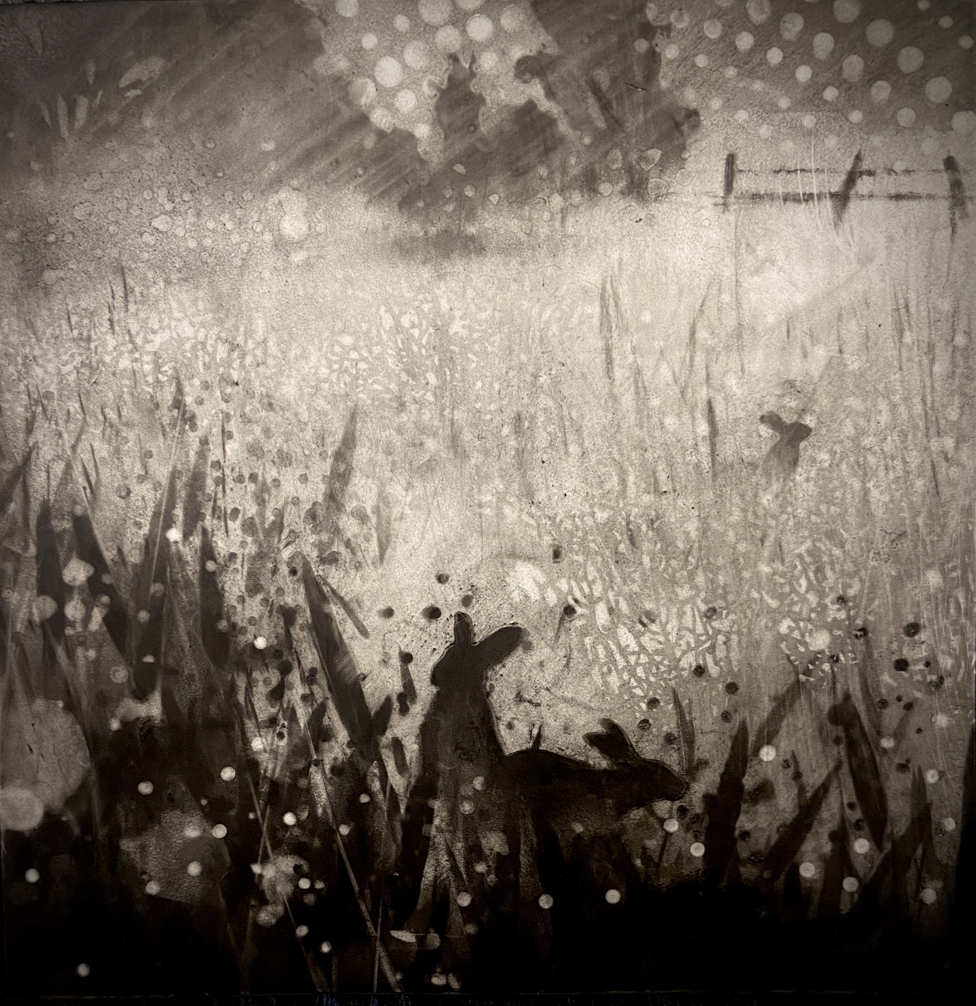Pencil illustration by Anna Trueman from BunBun-Blossom Adventures